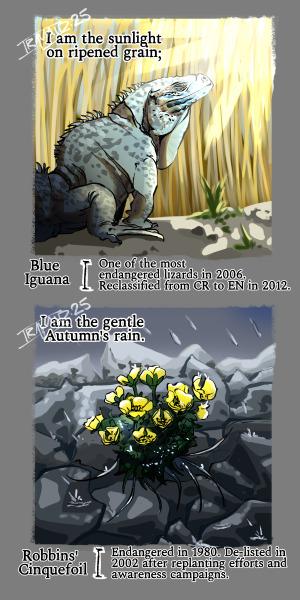 Blue Iguana "I am the sunlight on ripened grain"

Robins' Cinquefoil "I am the Autumn's gentle rain"
