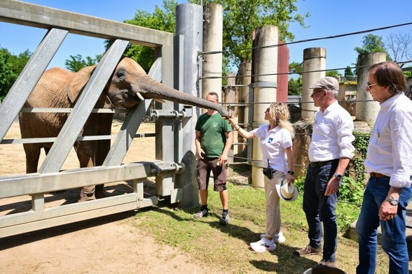 Bauverein Halle übernimmt Patenschaft für Tamika
