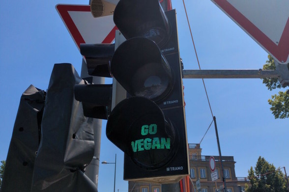 Was steckt hinter der jüngsten Ampelaktion von Animal Rebellion? · Leipziger Zeitung