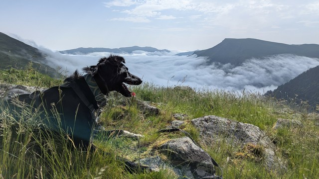 Paddy, laying in the grass, looking down the valley where we came from, trying to spot the marmot we just heard. Valley down below is filling up with clouds, blue clear skies above