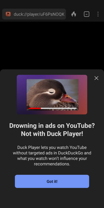 new advert advisory in duckduck about avoiding ads in YouTube and recommending DuckDuckPlayer as an alternative viewing platform

(I recommend DuckDuckPlayer as an alternative!)