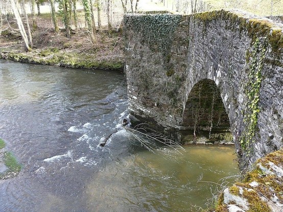Pont de Laveyra sur l'Auvézère à #Payzac (#Dordogne) La tradition rapporte que ce pont se situerait sur le parcours d'une ancienne voie gallo-romaine et qu'il aurait été construit par les Anglais au XIVe siècle...
Suite 👉 https://monumentum.fr/monument-historique/pa00082723/payzac-pont-de-laveyra-sur-lauvezere
#Patrimoine #MonumentHistorique
Photo CC-BY-SA 4.0 : Père Igor