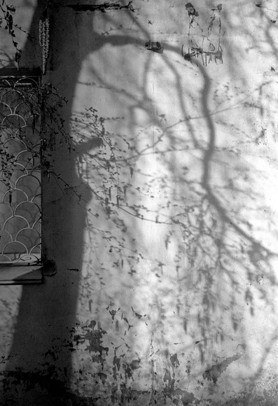 Monochrome photo shows a light-colored, shabby wall of an old house on which the shadow of a tree falls. From the edge of the photo you can see a part of a window with a lattice.