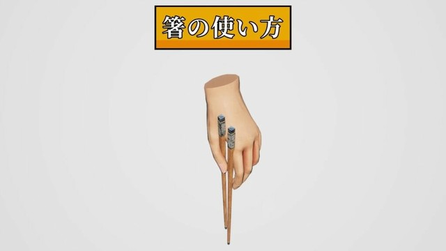 【実況】箸の使い方