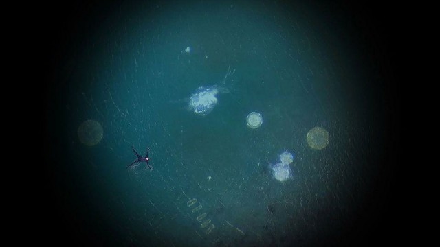 Image: apparently a photo from above of a figure floating in water, arms and legs akimbo in, probably a wetsuit; the water is presumably the sea, and near the figure we see various organic shapes that seems like blown-up microscopic plankton; the circular central area of the photo is of normal luminosity, with the photo getting progressively darker towards the edges of the landscape-shape image • “Solomon Fine Art is delighted to host a solo exhibition of new work by one of Ireland’s most celebrated sculptors, Rachel Joynt. Best known for her large scale public sculpture, this new body of work by Joynt is intimate both in scale and nature and includes bronze sculpture, print and moving image.”