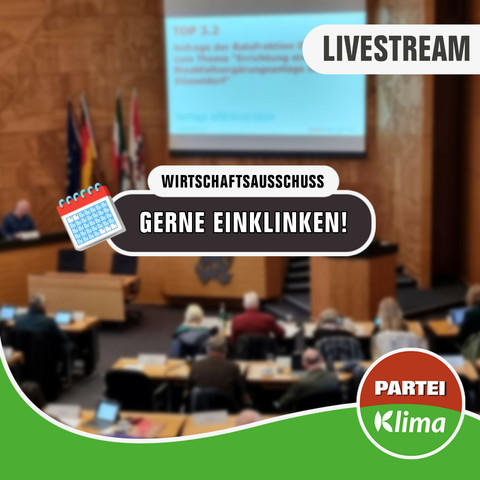 Zu sehen ist eine Totale des Plenarsaals unseres Düsseldorfer Rathauses. In einem weißen Kasten mit abgerundeten Ecken steht in schwarzer Sprache "Wirtschaftsausschuss". Darunter steht in einem anthrazitfarbenen Kasten mit weißen Buchstaben: „Gerne einklinken!"
