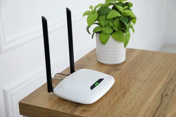 Wi-fi router and plant on a wood table.