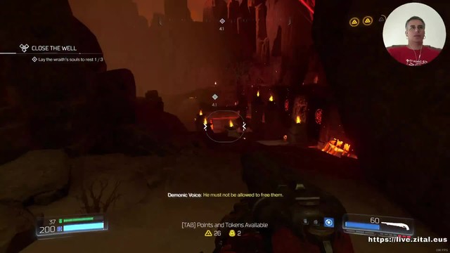 Live stream preview