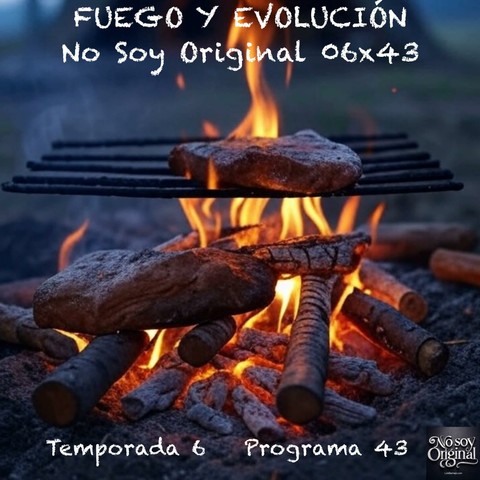 FUEGO Y EVOLUCIÓN | 06x43
El uso del fuego por parte de las especies de homínidos fue fundamental para su evolución. Sin duda, el aroma y el sabor de los alimentos asados o cocinados al fuego atrajeron a los humanos, quienes lo utilizaron incluso antes de descubrir cómo producirlo artificialmente. Sin embargo, este comportamiento no es exclusivo de los humanos. Muchos animales salvajes se ven atraídos por los alimentos cocinados. De hecho, tras la extinción de incendios accidentales, numerosos animales se adentran en las zonas afectadas para alimentarse de los restos de alimentos que han sido cocinados o asados por el fuego.
https://luisbermejo.com/fuego-y-evolucion-06x43/
#animales #antropología #arqueología #biología #cerdo #ciencia #comunicación #dieta #domesticación #evolución #fuego #historia #ideología #lenguaje #lenguas #neandertal #neolítico #política #podcast #NoSoyOriginal
