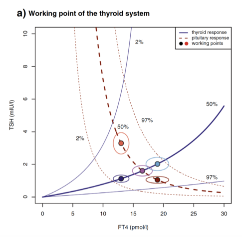 Null isokline plot with FT4 on the abscissa and TSH on the ordinate. Together, the thyroid response to TSH (FT4 curve) and the feedback of thyroid hormones on pituitary TSH (TSH curve) define a working point, i.e. the finite equilibrium solution of interlocking TSH–FT4 pairs. Working points are unique to an individual, show little variation, unless disturbed by internal or external strain, and translocate along isoclines.