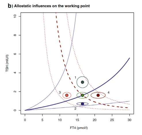 Null isokline plot with FT4 on the abscissa and TSH on the ordinate. Allostatic influences such as obesity, age, pregnancy, and non-thyroidal illness have dislocating effects on isoclines and working points. Open circles indicate expected variation (10% for FT4 and 30% for TSH) surrounding a working point characteristic for a person. The area included between the 2.5 and 97.5 percentiles represents the population reference range.