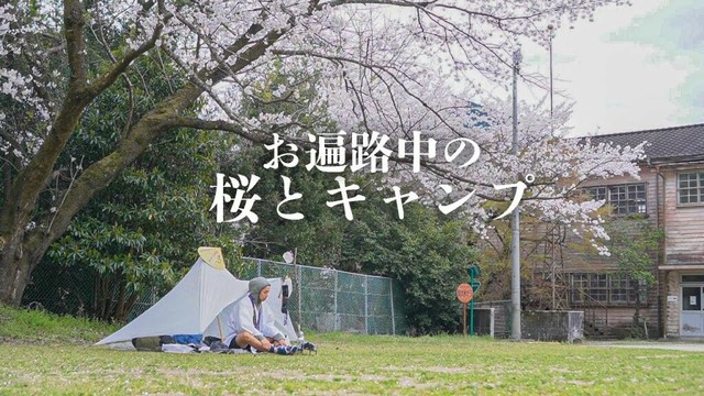 桜の下で、野宿してます【お遍路旅】。歩きお遍路5日目（鶴林寺と太龍寺の間）