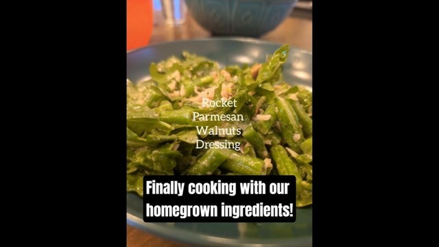 Italian green bean salad from homegrown beans! #grow #cook #recipes #tasty #homemade #gardening