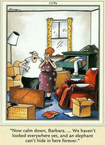A Gary Larson "Far Side" comic dated January 7, 1984. A man and wife are standing in a room that has been ransacked, apparently while they have been looking for something. Boxes are open, tables are overturned, a lampshade is askew, drawers are open, and socks are hanging out of the open drawer. 

Behind the chest of drawers, the top and sides of an elephant are visible. 

The woman has her hands to her face. The man says, "Now calm down, Barbara. We haven't ... looked everywhere yet, and an elephant can't hide in here forever."