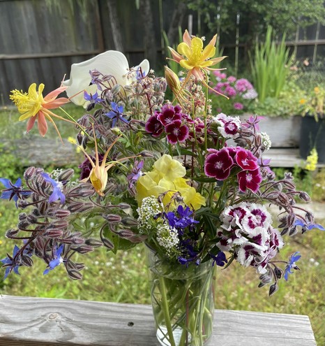 Borage, columbine, calla lily, coral bell, sweet william, snapdragon, lobelia, alyssum in a clear jar of water sit on a railing in our yard, where they all grew from seed, except the calla lily (bought that bulb decades ago).