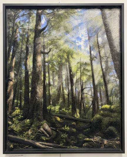 Needle felted picture of a misty temperate rainforest on Meares Island with sunbeams reaching through to the forest floor, British Columbia 16"x20"