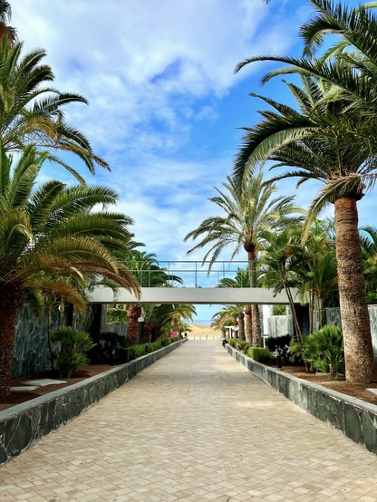 Is there anything more evocative than a passage full of palm trees on both sides of the street, with a small bridge in between, anticipating the arrival of the summer, as one heads to paradise for the day? 

I mean, in this snap shot, in the horizon, the spectacular Maspalomas Dunes waiting, majestically, for everyone to show up. A rare sighting though to begin with, no one in the way! 😳👍🏻