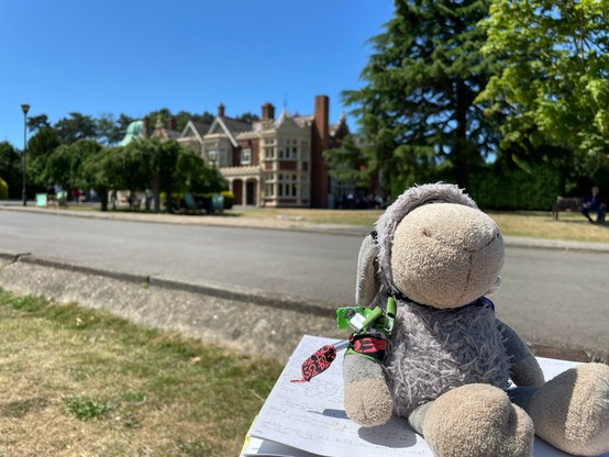Photo of the grey sheep on my journal, in the background the Bletchley Park Mansion House.