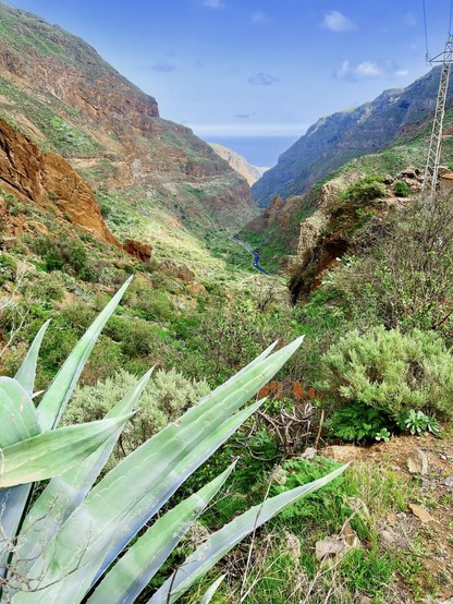 This is one of my favourite hikes in the island, specially, during the winter time (Jan / Feb). Barranco de Gauyadeque was one of the last strongholds of the local inhabitants before the Spaniards showed up. You can see why. The mountains standing tall, people living in well-protected and difficult to access cave houses, willing to put up a fight till the very last breath, literally. This is a snap shot from about half way through to the top of the mountains and you can see the massive size by identify a "tiny" road with multiple cars, as if they were ants. Also, in the horizon of this photo, a different shade of blue: The ocean 😍👍🏻

An intense hike, but with some quite spectacular views all around ... Oooh, and wild agaves as well! 🍹😎👍🏻