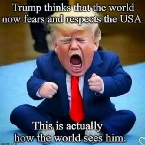 A meme/photo of a digitally altered Trump. It's Trump's current head and face with the body of a toddler in a blue suit with red tie.

Trump the man-child is balling, screaming throwing a tantrum with his little hands balled in in fists.

The text at the top reads:

Trump thinks that the world now fears and respects the USA.

The text at the bottom reads:

This is actually how the world sees him.