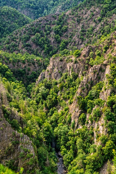 Blick in das Bodetal unten sieht man den Fluss Bode. Auf beiden Seiten stehen steile Felswände bewachsen mit Bäumen.