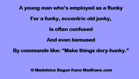A young man who’s employed as a flunky
For a funky, eccentric old junky,
Is often confused
And even bemused
By commands like: “Make things dory-hunky.”

 © Madeleine Begun Kane MadKane.com