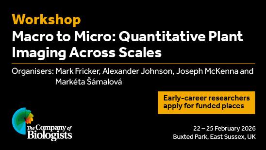 Workshop
Macro to Micro: Quantitative Plane Imaging Across Scales
Organisers: Mark Fricker, Alexander Johnson, Joseph McKenna and Markéta Šámalová
Early-career researchers apply for funded places
22-25 February 2025, Buxted Park, East Sussex, UK