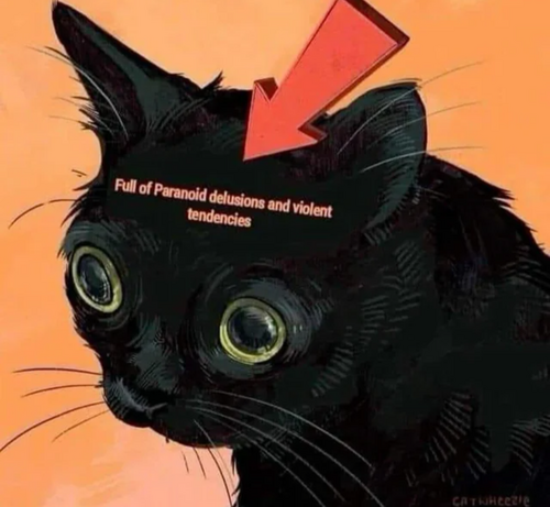 Drawing of a wide-eyed black cat, red arrow pointing at its head, text inside cats head reads "full of paranoid delusions and violent tendencies"