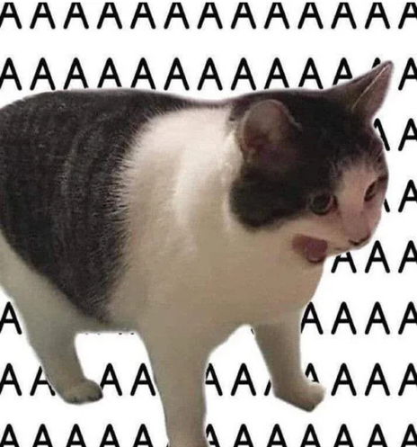 Cat with its mouth wide open like it's screaming, background is white with black letters "Aaaaaaaaaaaaaaaaa"