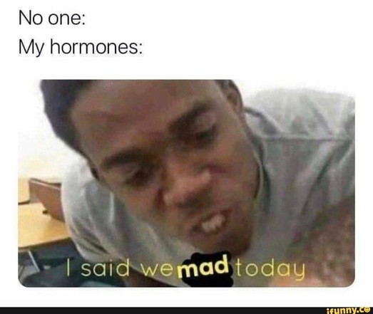 No one: (blank space to imply no one says or does anything anything), followed by "My hormones: I said we MAD today"