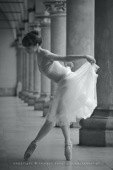 A ballerina in a flowing dress gracefully balances en pointe in a grand, columned hallway, her pose and expression capturing the delicacy and elegance of ballet. The soft movement of her dress and the gentle curve of her arms highlight the lightness and precision that define the art form.