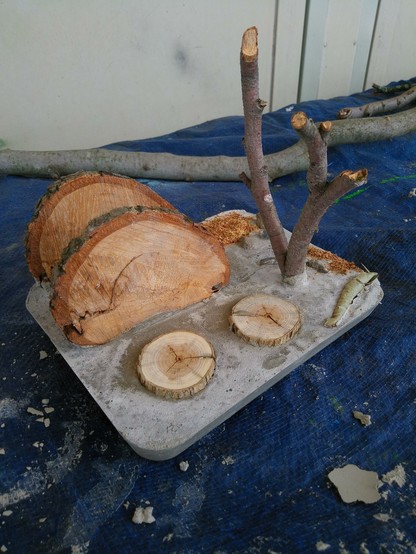 Eine Betonplatte mit eingelegten Holzscheiben. Zwei größere Astscheiben sind stehend eingelassen. Ein aufrecht stehender Ast und ein Blatt.