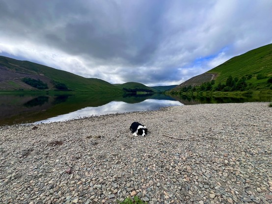 The start point for the swim on the beach at the Loch of The Lows