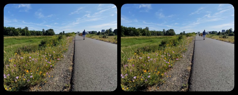 Stereoscopic view. We're low-ish to the ground. On the right is a paved pedestrian trail receding into the distance; on the left, running alongside the trail, are some wildflowers. Blue sky with scattered clouds.