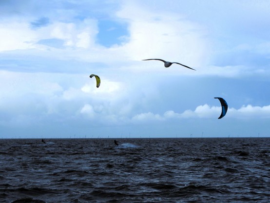 Dark sea under a slightly cloudy sky. Three birds can be seen in the sky. Oh no, it's a flying bird in the centre, kites to the left and right.