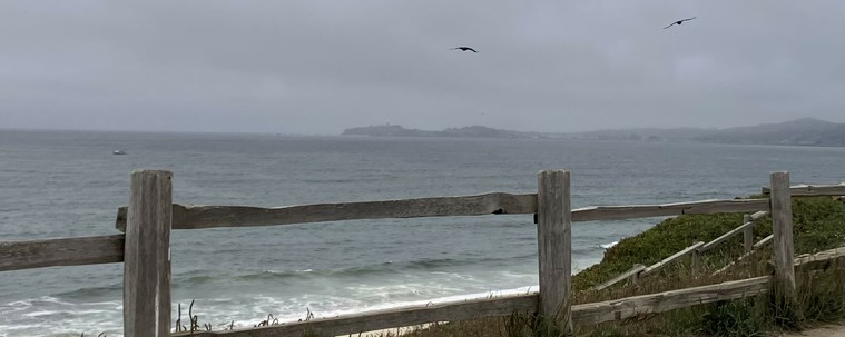 Two birds soar over the ocean at Poplar Beach in Half Moon Bay. There's a boat out on the water, too — it looks small and you can't see any detail. We're gazing out above and through a wood fence or sorts with upright posts and two boards between the posts.  The sea is pretty calm and the day is mostly gray. In the distance you can see the radar installation at Pillar Point Harbor, shrouded in fog.