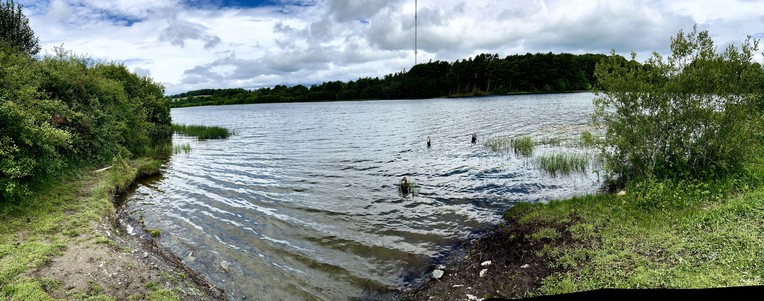 A view of the Loch from the only pace you are allowed to go in by the stumps of the old boat house that was removed last year