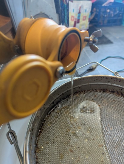 Honey pours out of a spout into a screen sieve.