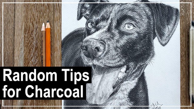 Youtube thumbnail showcasing a realistic dog portrait drawn in charcoal with the text: Random tips for charcoal.