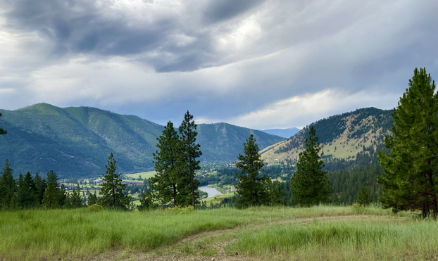 Beneath a heavily clouded sky, a grassy meadow with scattered trees around it opens to a vista where wooded mountains enter the scene from the left and extend beyond center. On the right is a mountain that’s equally grass and conifers. Below them is a narrow valley where a meandering river flows.