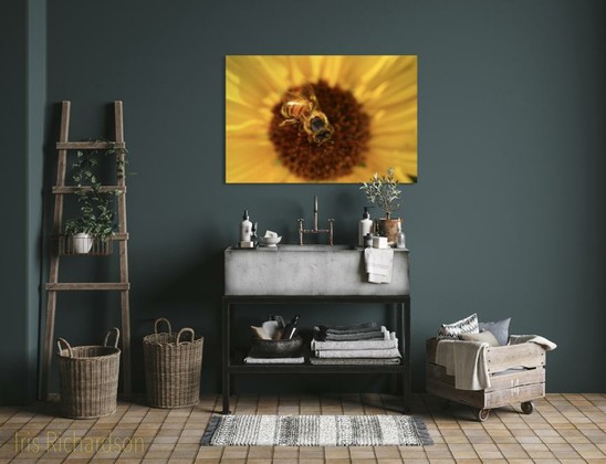 Honeybee on sunflower macro photographic print in bathroom setting