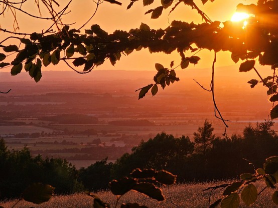 A vibrant sunset paints the sky in shades of orange and red, seen from a high vantage point. Silhouetted tree branches with leaves frame the upper and right sides of the image, with the sun's intense light peeking through the leaves on the upper right. In the middle ground, rolling hills and fields stretch into the distance, appearing hazy in the warm light. Dark tree lines are visible in the foreground and mid-ground, adding depth to the golden landscape.