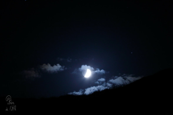 Toujours viser la Lune !

Comme ça, parait-il, on au pire on atterrit dans les étoiles...

« Marcher la nuit. Voir le chemin, se matérialiser... au fil de l'éclairage. Le voir prendre vie, quand les ombres se meuvent... ou ne pas le voir du tout, simplement le deviner, le sentir sous ses pieds. Caillou après caillou ; rocher après rocher. Sentir les effluves chauds... regarder là-haut, les étoiles danser. » (petite impression soufflée mot pour mot à mon appareil photo, dans la descente...)

Copyright : Ambre de l'AlPe
