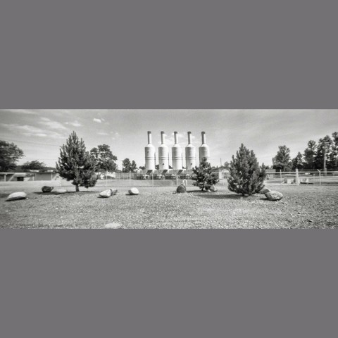 Black and white photo of stacks in background with trees in the foreground