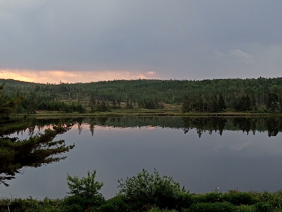 A smooth ocean surface all the way to the treeline on the other shore, the sky blocking sunrise with a cloud, the L shaped edges letting orange light pass by. Branches on the bottom left of tree in the yard