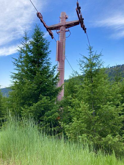A pink chairlift tower rises out of pine trees the cables still in place. In the foreground is bright green grass. In the distance is a wooded ridge. The sky is partly cloudy.