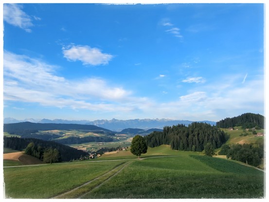 Hills with fields and forest, blue sky with some white clouds.