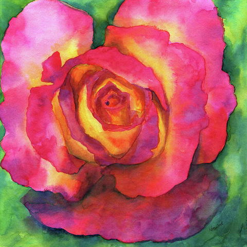 The Beautiful Rose is a hand-painted watercolor painting in contemporary square format painted by Karen Kaspar. It is depicting a beautiful rose in vibrant shades of pink, red, orange and yellow on a contrasting abstracted green background.