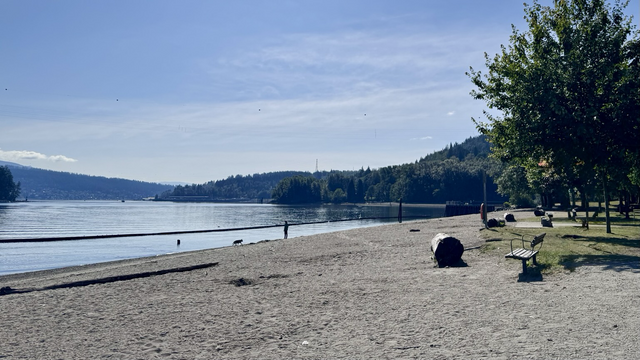 Looking across a sandy beach towards the ocean.