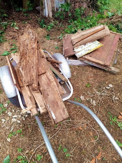 A wheelbarrow filled with partially rotten wood. Some larger parts are still intact in a pile on the ground.